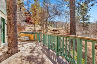Georgia street retreat #2344 - Big Bear Lake - 8