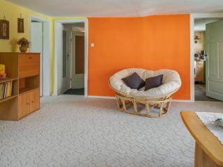 Apartment in Braunichswalde near Nature Trails, cleaning included - - 1