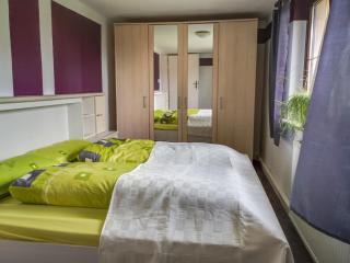 Apartment in Braunichswalde near Nature Trails, cleaning included - - 8