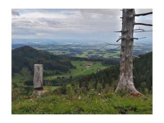 Holiday apartment with 2 bedrooms - 4