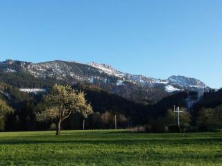 Holiday apartment with 2 bedrooms - Aschau - 5