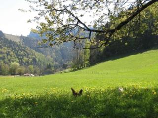 Holiday apartment with 2 bedrooms - Aschau - 6