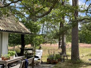 4 star holiday home in DEGEBERGA - Degeberga - 8