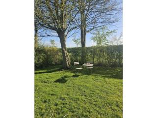 Quietly located holiday home in Zeeland - Bruinisse - 3