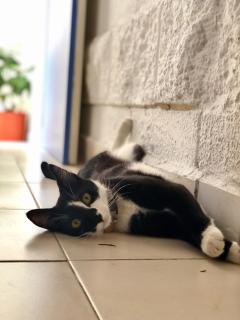 Casa Palmita - Playa del Carmen - 1