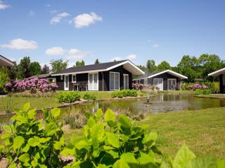 Chalet in Netherlands by Scenic Pond - Veldhoven - 4