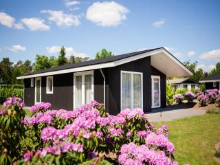 Chalet in Netherlands by Scenic Pond - Veldhoven - 0