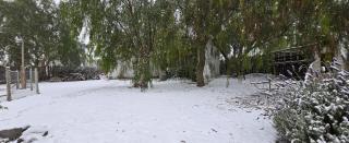 Departamento con piscina en Vistalba - Vistalba (Luján de Cuyo) - 3