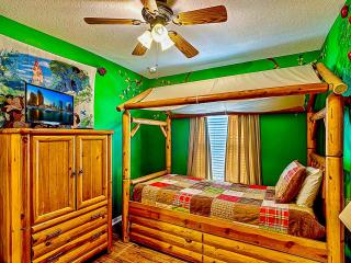 Epic Frozen Themed home 20 min to Disneyworld dw4 - 4