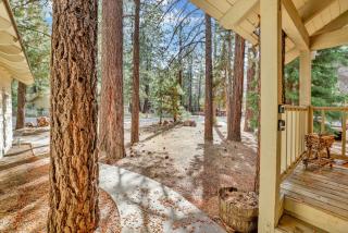 All season alpine retreat #1184 - Big Bear Lake - 5