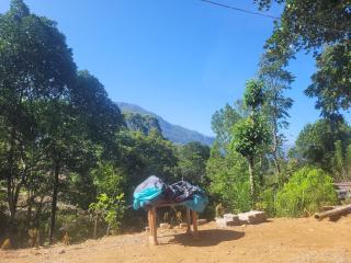 Ramboda Jungle Resorts - Tawalantenna - 5