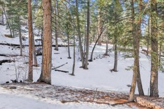 Wolf cub cabin #1946 - Big Bear Lake - 6