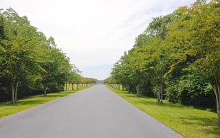 Updated, Ground Floor Unit w/ Pool & Gym, Sleeps 6 - Gulf Shores - 3