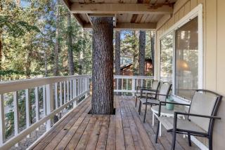 Tree top views #2060 - 9