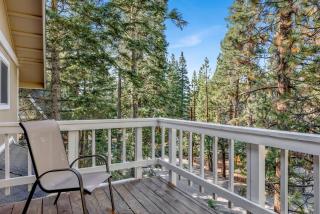 Tree top views #2060 - Big Bear Lake - 8