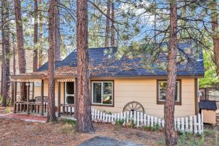 Pines 23 #1438 - 5
