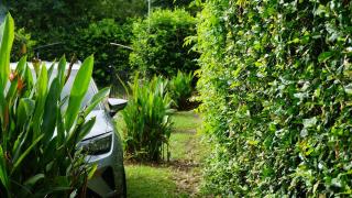 Comfy House with WiFi Pool Jacuzzi in Carmen De Apicala - Melgar - 8