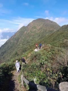 Sunlit Homestay Sapa - Sapa - 0