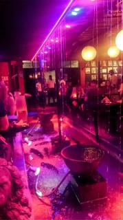TECHNO TOURIST INn - 6