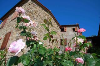 Apartment in Montieri - Toskana 38264 - Montieri - 6
