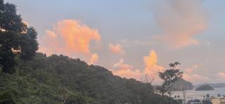 Cashew Blossom Boutique Guest Home - El Nido - 7