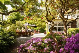 Sunny Waterfront Apartment - Dunedin - 3