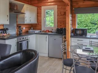 Barken - Trawsfynydd - 9