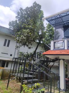 Chills homestay - Kalpetta - 2