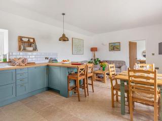 Swallow - Uk50155 - Faversham - 8