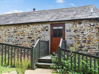 Clover - Uk50147 - Saint Wenn - 3