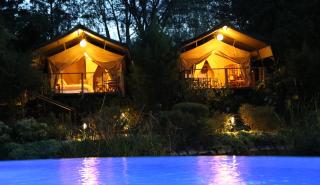 Wildebeest Eco Camp - Nairobi - 6
