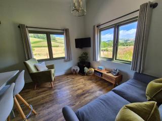 Birch Banc Retreats - Bedw - Llanidloes - 5