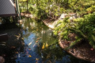 Oceanside Beach Condos - Oceanside - 5