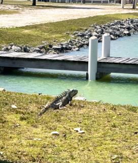 Bay Front Eco-Cottage - Corozal Town - 1