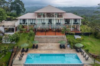 Ligness Green Odyssey - 3