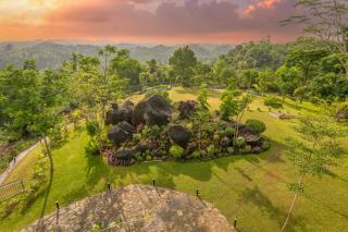 Ligness Green Odyssey - - 1