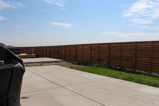 Comfortable 2 bedrooms walk out basement suite - Calgary - 4