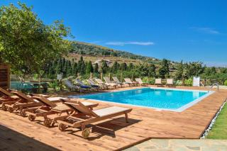 Summer Suites at Hora Andros - Lámira - 9