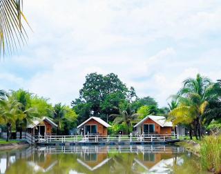 The forest hill cafe&homestays Chiangmai - Ban Muang Len - 9