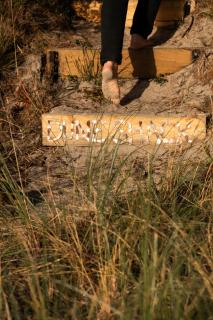 Dune Shack - On The Beach, 10 minutes from Port Arthur - 1