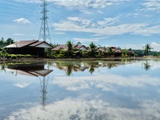 Akira Laman Padi Tanjong Karang - Tanjung Karang - 7