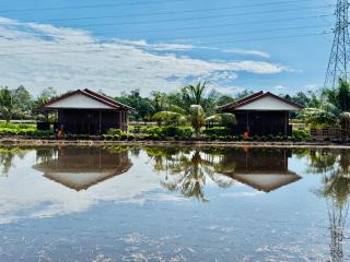 Akira Laman Padi Tanjong Karang - Tanjung Karang - 8
