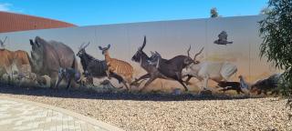 The Riverview at Mannum - 2