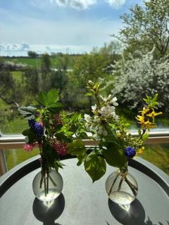 House with a view in beautiful outskirts of Lund - Lund - 3