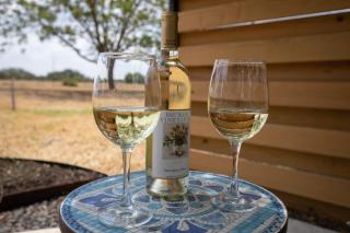 Cozy Casita! In Texas Famous 290 Winery Corridor! - Stonewall - 6