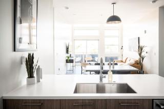 Skytop Perspective | Espadin LoHi - 1