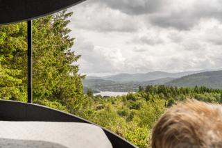 Birdbox Bergen - Bergen - 8