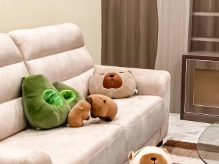 Capybara Kids House 12 Pax 5 min to Ipoh Town - 5