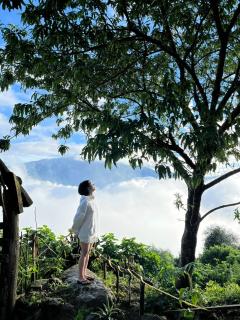 Lofi Homestay Tà Xùa - Bắc Yên - 4