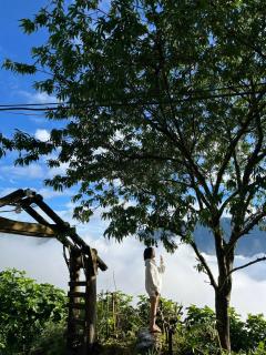 Lofi Homestay Tà Xùa - Bắc Yên - 3